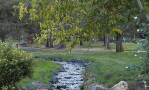 Àrea exterior de l'allotjament