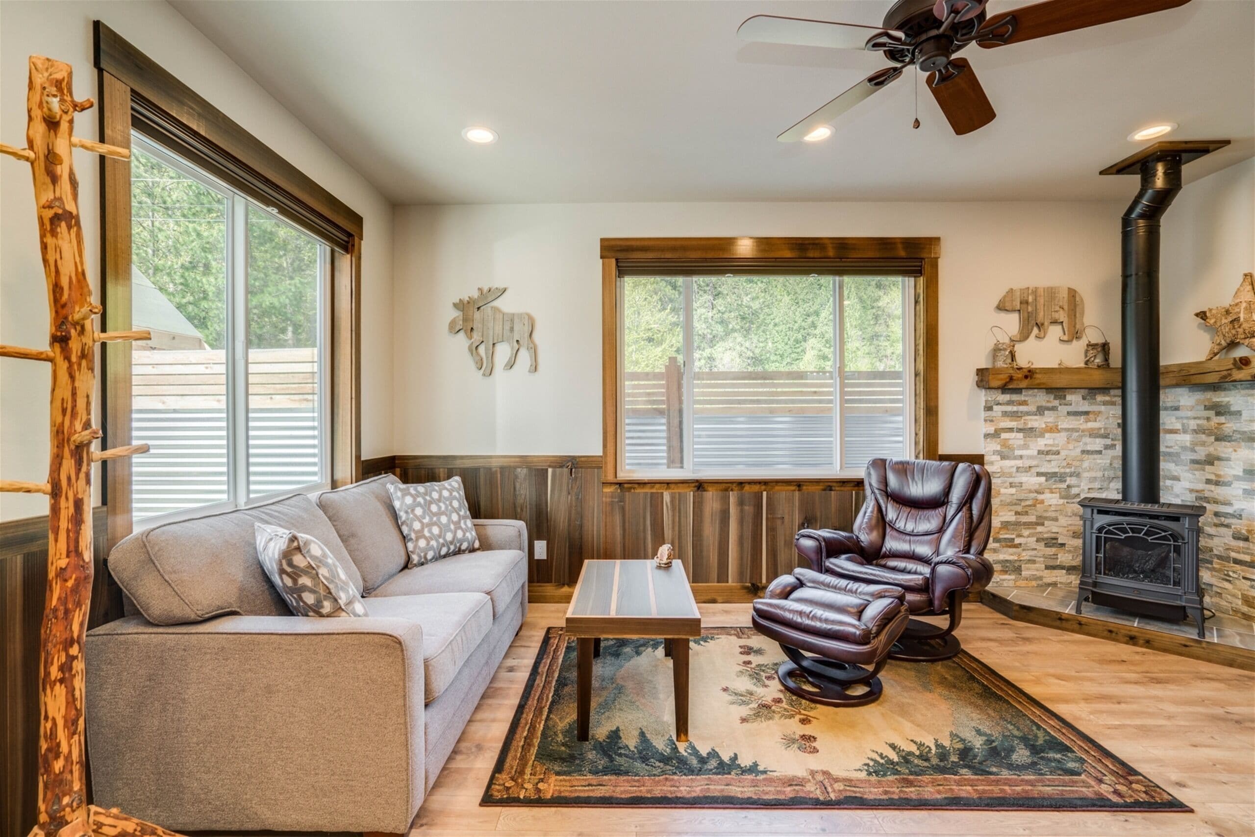 Televisión, chimenea y reproductor de DVD 