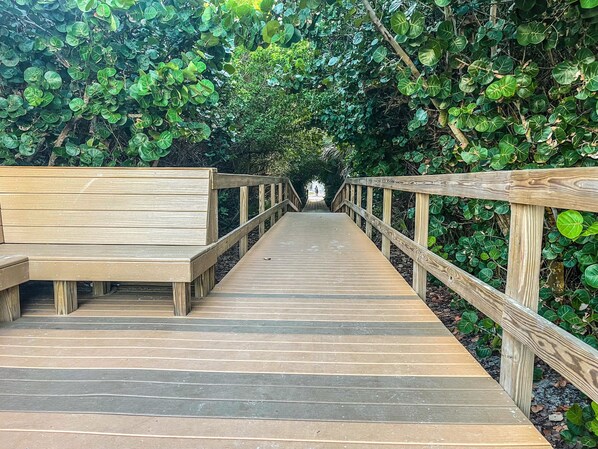 A wooden boardwalk leading through a dense green forest.