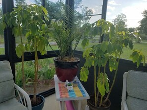 Un balcone con piante in vaso, un tavolino con un oggetto decorativo e vista su un paesaggio verde.
