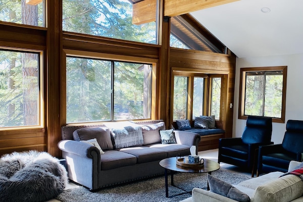 Smart TV, fireplace, books, stereo