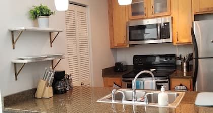 Condo near universities, teaching hospitals, downtown and Forest Park.