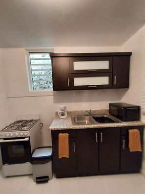 Fridge, microwave, oven, coffee/tea maker