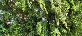 Lugar seguro y tranquilo apto 5