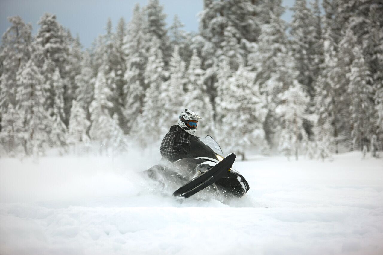 A snowmobile rider in a snowy forest.