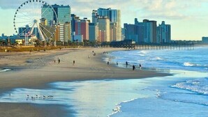 Une plage avec une grande roue et des immeubles de grande hauteur en arrière-plan.