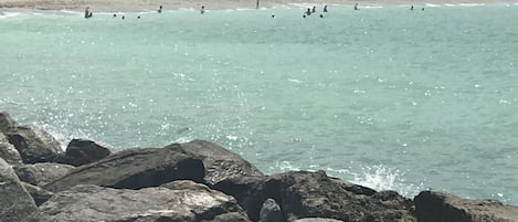 On the beach, sun-loungers