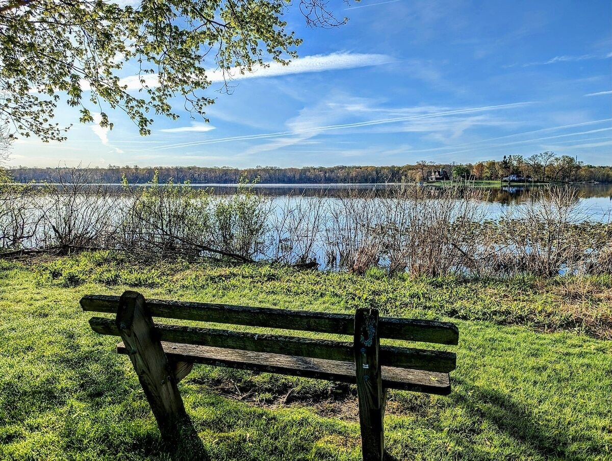 Eine hölzerne Bank in einer grünen Landschaft mit einem See und Bäumen im Hintergrund.