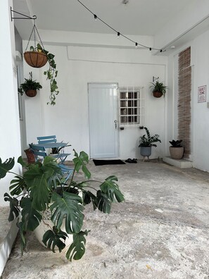 Una habitación luminosa y ordenada, con paredes blancas, una puerta, una ventana con barrotes, plantas colgantes y una planta de monstera en maceta.