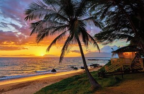 A beach scene with a palm tree, ocean, and a lifeguard tower.