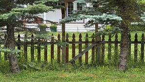 Une maison entourée d’arbres à feuilles persistantes et d’une clôture en bois.