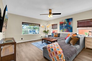 Smart TV, DVD player, books