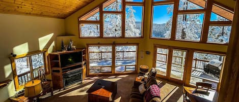 Télévision, cheminée, chaßne hi-fi