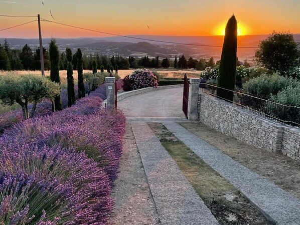 Overnattingsstedets uteområder