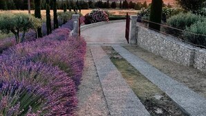 A pathway leading to a stone wall with a view of the sunset over a hilly landscape.