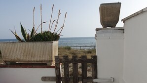 Una terraza en la azotea con vistas al mar, una planta en maceta, un portón de madera y una cesta rosa.