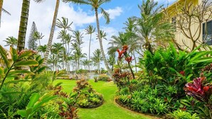 Un jardín exuberante con palmeras y diversas plantas tropicales.