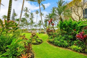 Property grounds - Lae Nani 215. A Beautifully Decorated Condo! (Kapaʻa)