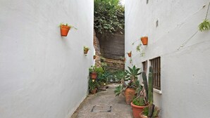 A narrow alleyway with white walls, potted plants, and a rocky ledge.