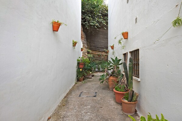 Une ruelle étroite aux murs blancs, ornée de plantes en pot et bordée d’une corniche rocheuse.