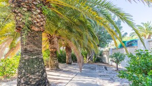Un sendero bordeado por palmeras y un gato, que conduce a un edificio con fachada de piedra.