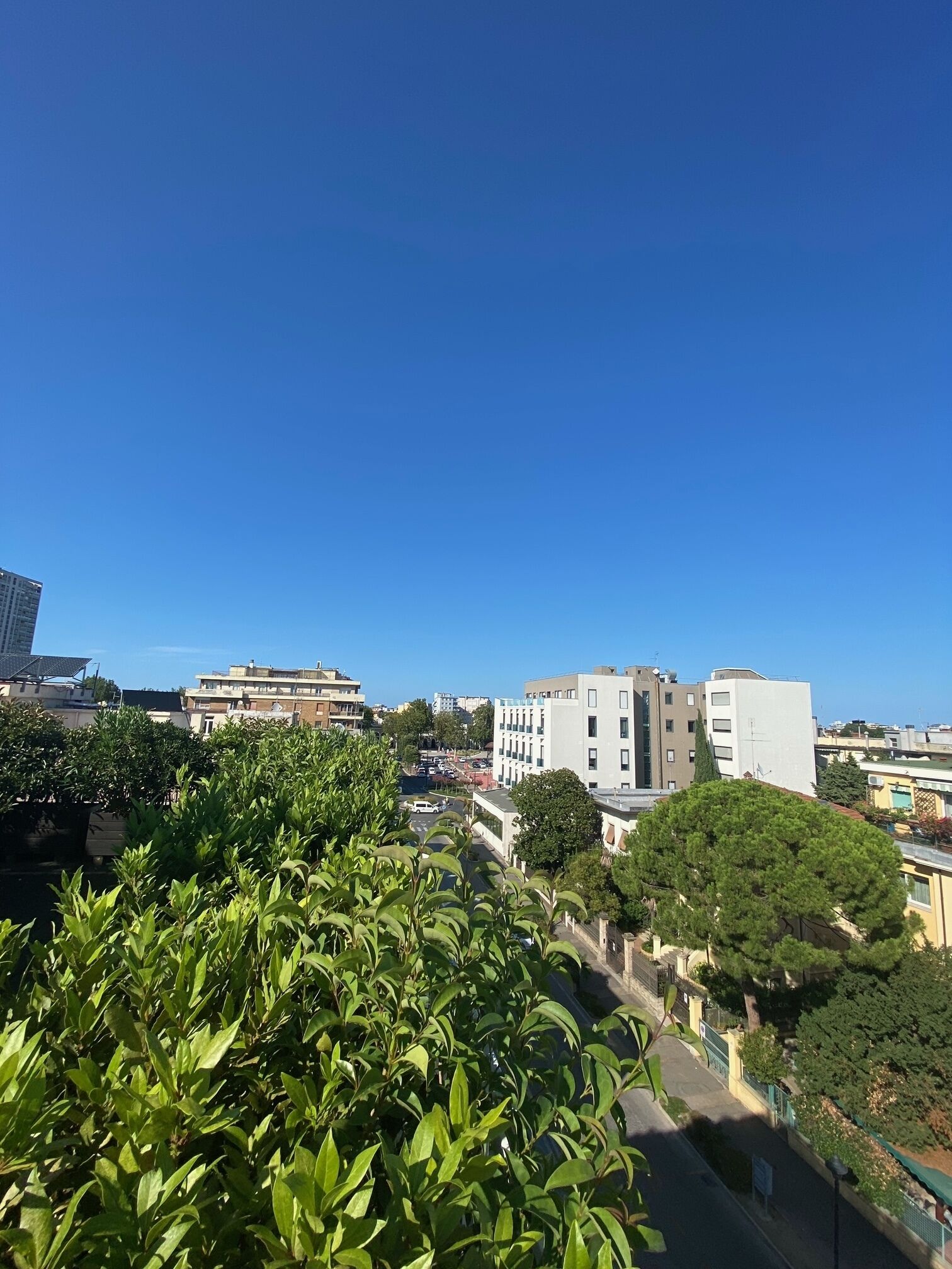 Foto - Card International Hotel