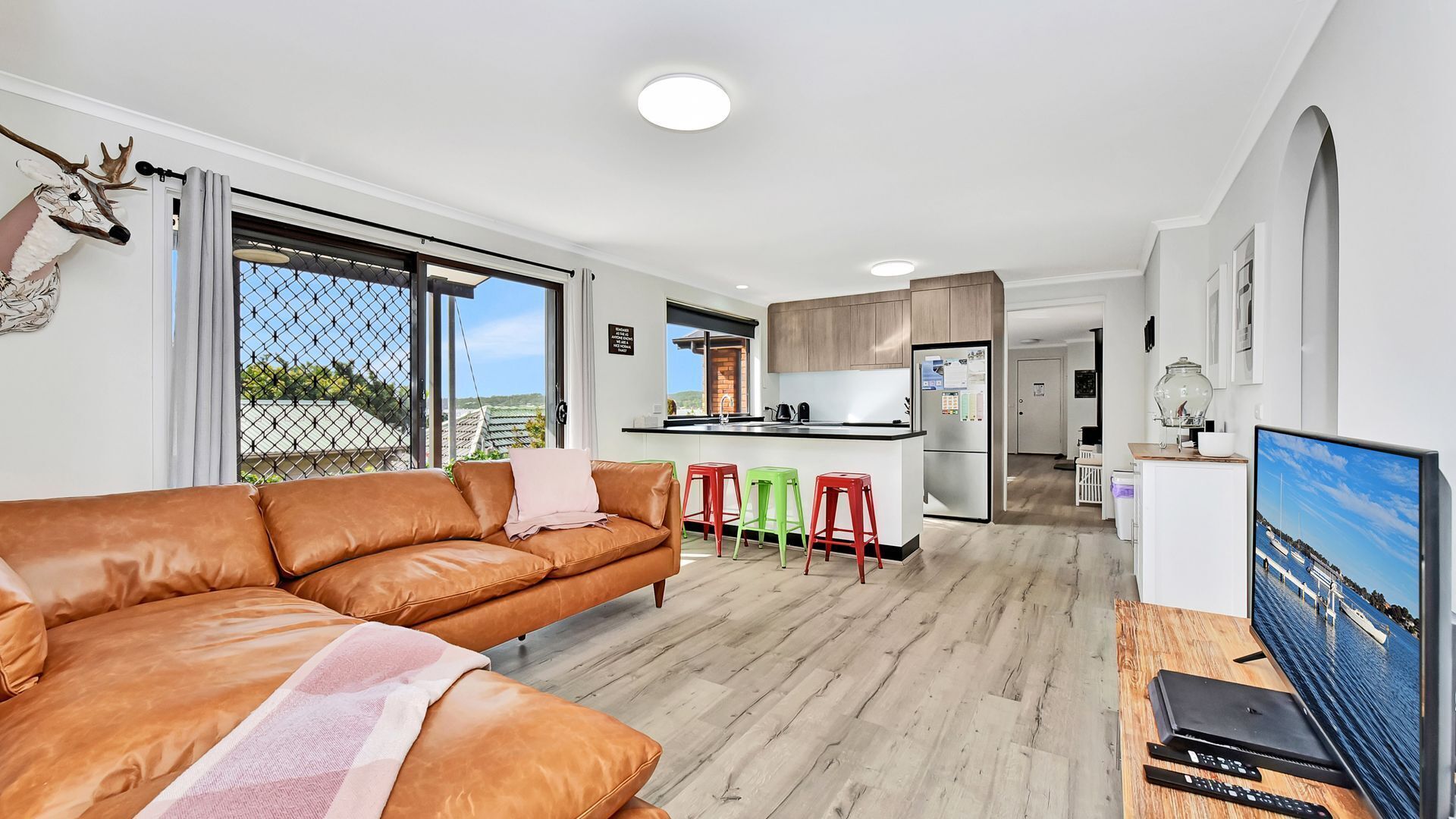 TV, lettore DVD, libri