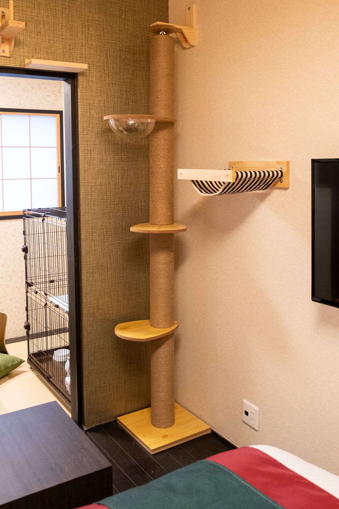 Une pièce avec un arbre à chat vertical, une barrière en métal noir et un téléviseur fixé au mur.