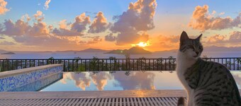 Bodrum - 5 bedrooms “Sunset villa”, with infinity swimming pool