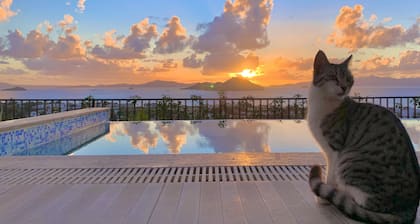 Bodrum - 5 bedrooms âSunset villaâ, with infinity swimming pool
