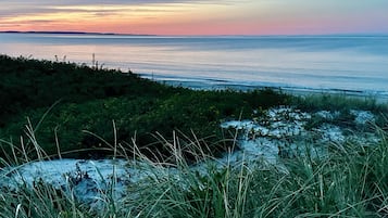 Plage à proximité, chaises longues, serviettes de plage
