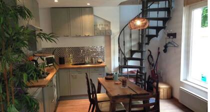 Maison Terrasse-jardin Pl Stanislas