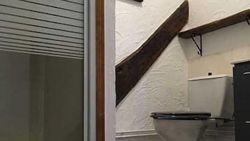 Regadera, secadora de cabello, toallas, jabón