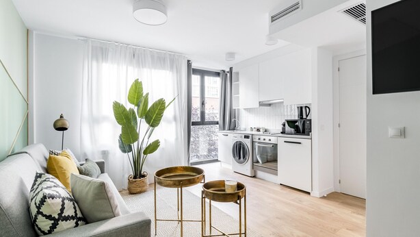 A modern living room with a sofa, a coffee table, and a large plant. Adjacent is a compact kitchen with a washing machine and a stove.