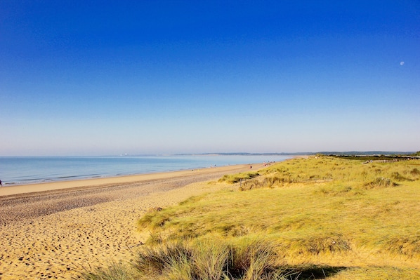 Playa en los alrededores 