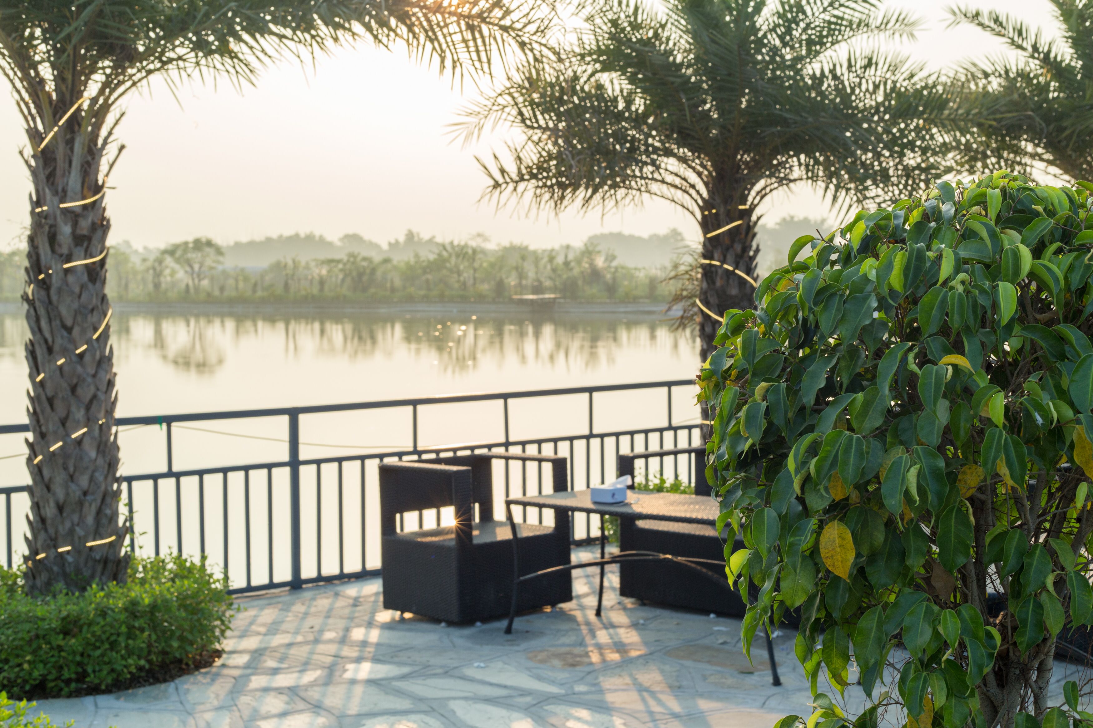 A patio with outdoor furniture overlooking a calm body of water, surrounded by greenery and palm trees.