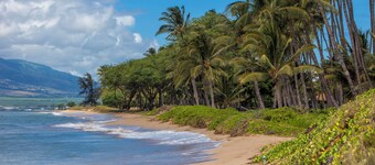 Kihei Bay Surf #218 Renovated, Near Beach, Shared Hot Tub, Inner Courtyard