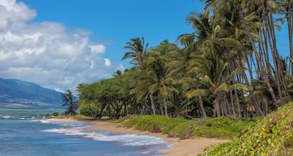 Kihei Bay Surf #218 Renovated, Near Beach, Shared Hot Tub, Inner Courtyard