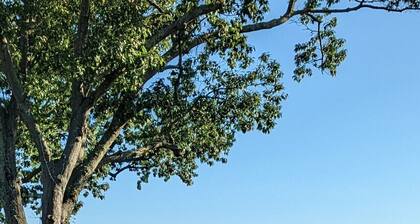 Privacy in the hills one hour from NYC and minutes to Breakneck Mtn.