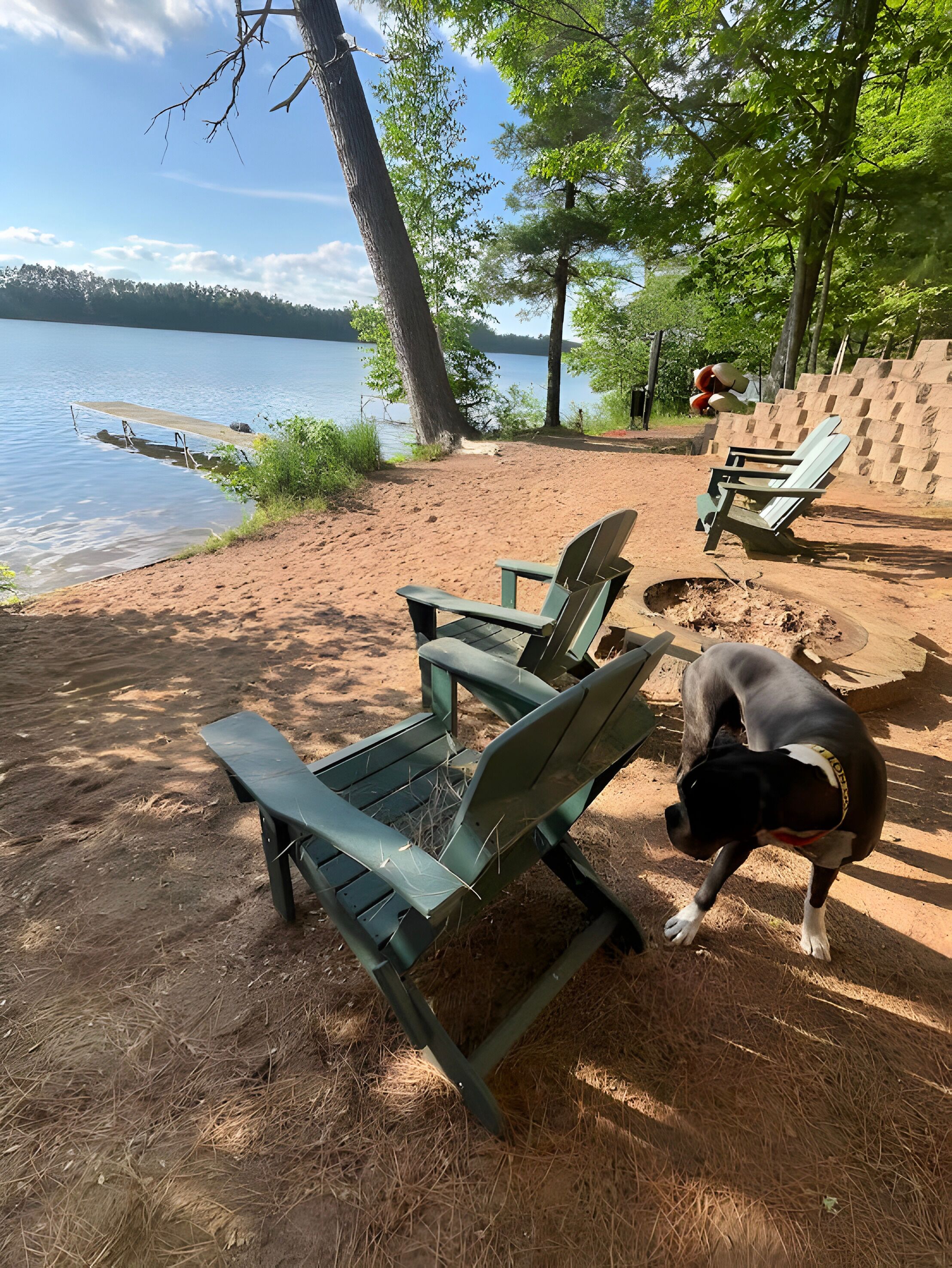 Un cadre idyllique au bord d’un lac, avec des fauteuils Adirondack verts, un chien et une jetée en bois.