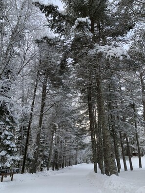 Snow and ski sports - Cozy Log Cabin on Little Spider Lake (Hayward)
