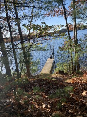 Property grounds - Cozy Log Cabin on Little Spider Lake (Hayward)
