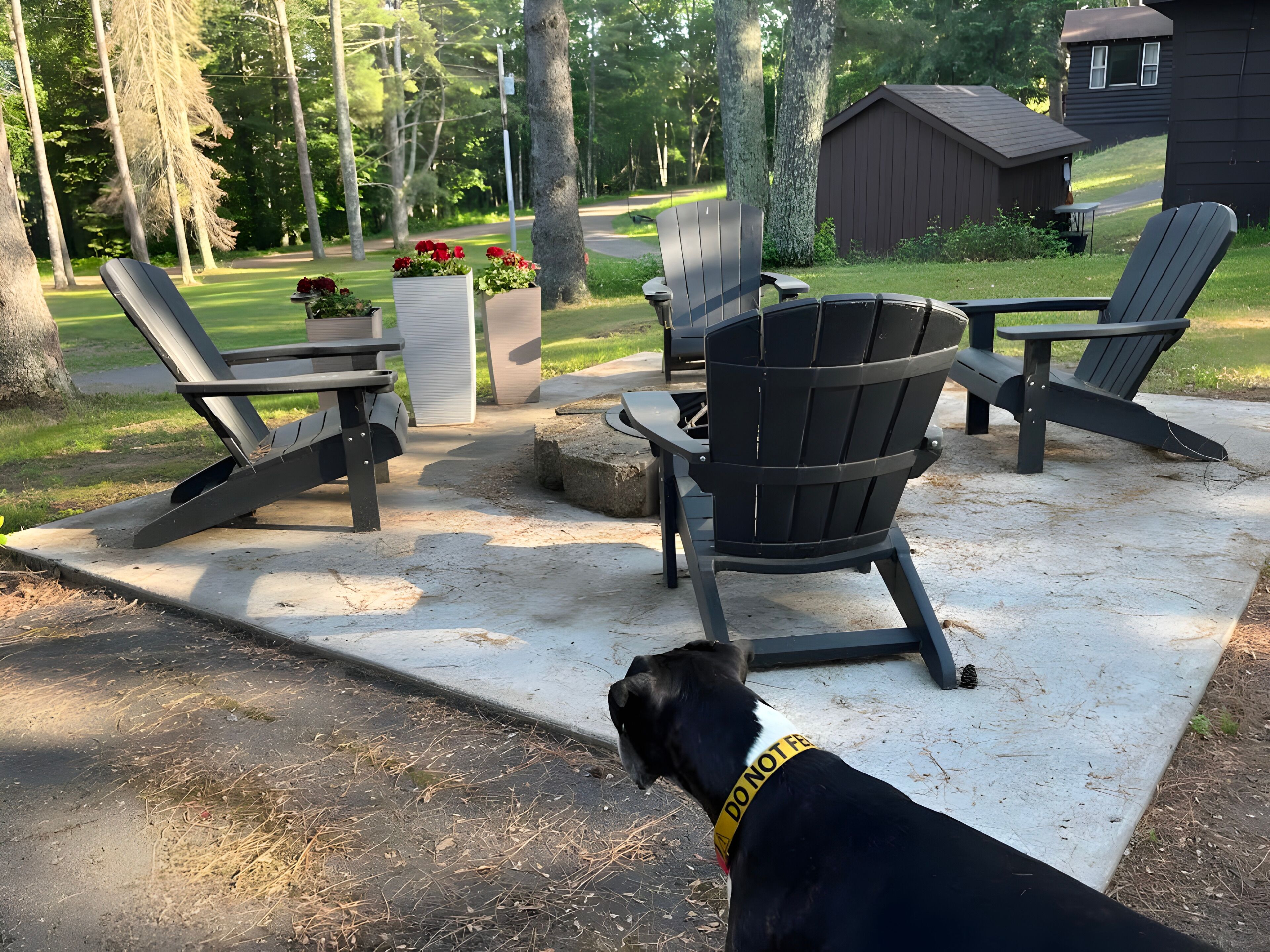 A patio with outdoor furniture, a dog, and a house in the background.