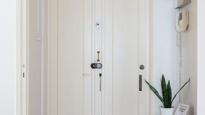 Une porte blanche ornée d’un panneau de verre décoratif au-dessus, une petite table blanche avec une plante et un panneau d’accueil, et un téléphone fixé au mur.