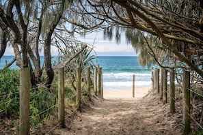 A sandy beach path leading to the ocean, surrounded by wooden posts and vegetation. - Spacious Seaside Oasis on Dicky Beach (Dicky Beach)