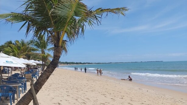 A beach with palm trees, a sandy shore, and a few people in the distance. - Porto Seguro-Condomínio Mont Carmelo Ap 5A (Porto Seguro)