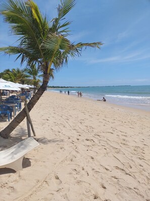 A beach with palm trees, a sandy shore, and a few people in the distance.