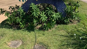 A sign for a restaurant named 'Malibu' with decorative flowers and a surfboard design. - Porto Seguro-Condomínio Mont Carmelo Ap 5A (Porto Seguro)