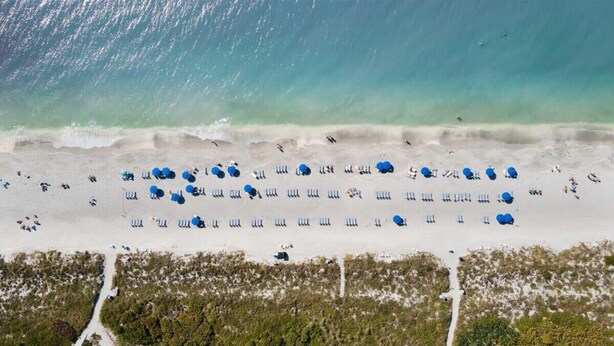 An aerial view of a beach with rows of blue umbrellas and beach chairs.
