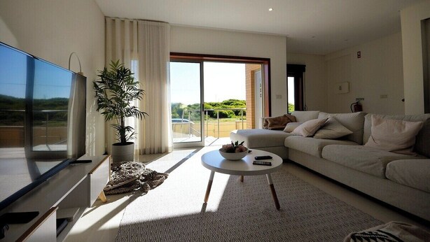 A modern living room with a flat-screen TV, a sofa, a coffee table, and a potted plant.